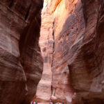 IMG_4660-XL